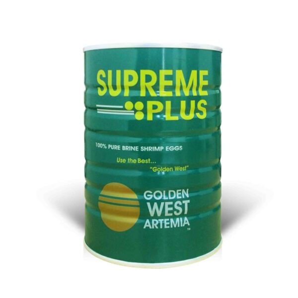 Golden-west-artemia